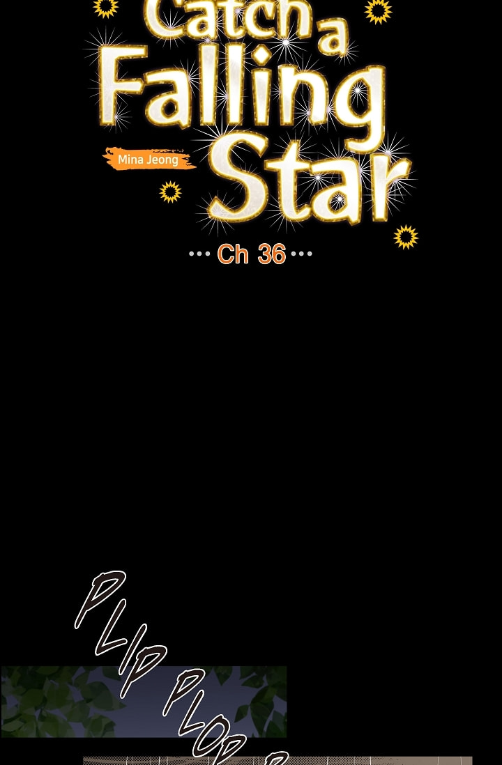 Read To Catch a Falling Star chapter 36 image 16 on Lezhin