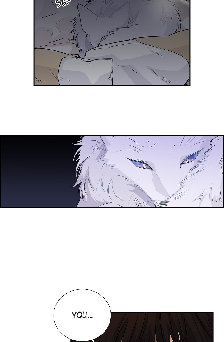 Read To Catch a Falling Star chapter 41 image 24 on Lezhin