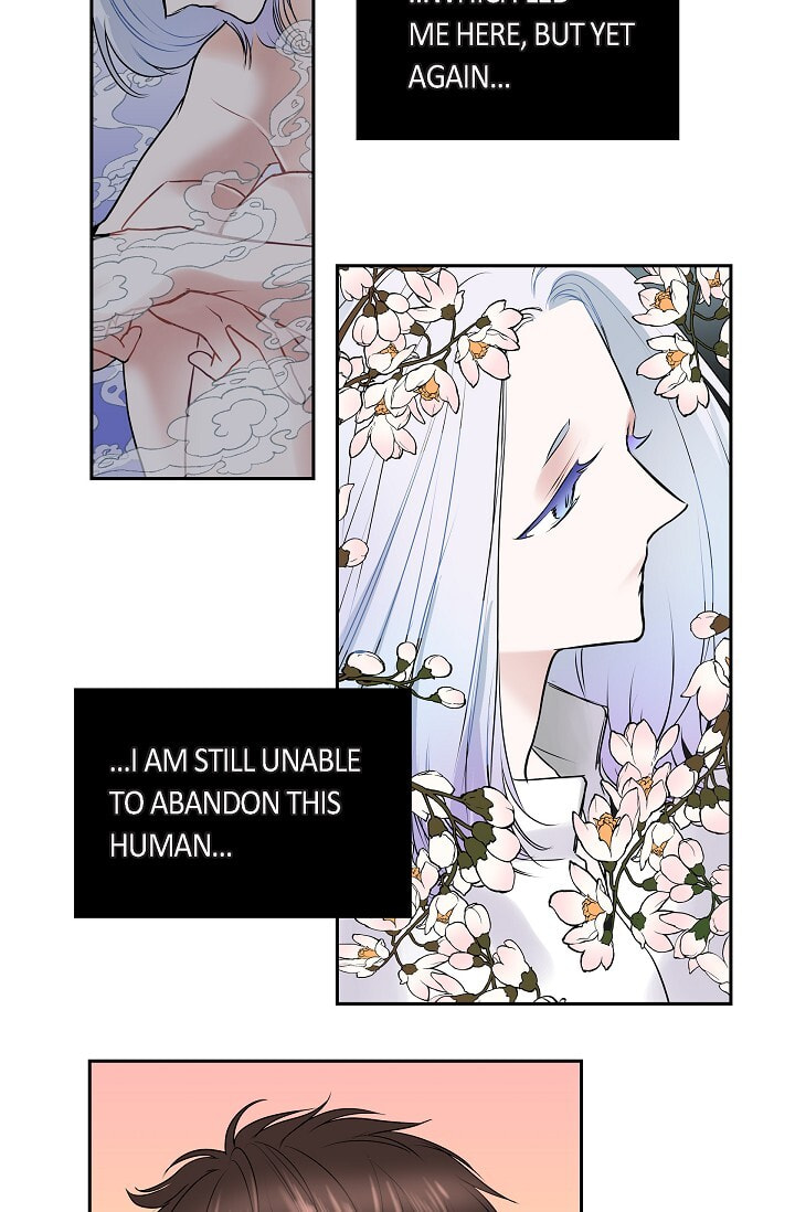Read To Catch a Falling Star chapter 43 image 27 on Lezhin