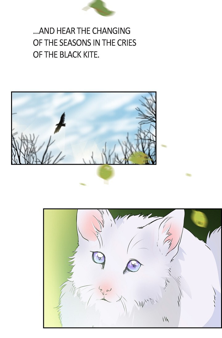 Read To Catch a Falling Star chapter 43 image 8 on Lezhin