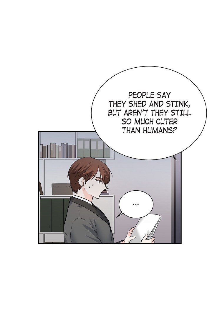 Read To Catch a Falling Star chapter 45.6 image 12 on Lezhin