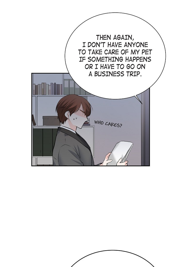 Read To Catch a Falling Star chapter 45.6 image 13 on Lezhin