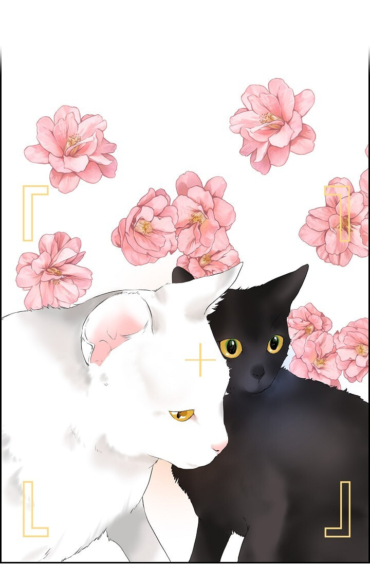 Read To Catch a Falling Star chapter 45.6 image 6 on Lezhin