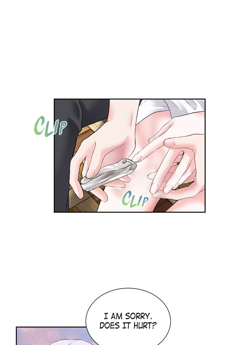 Read To Catch a Falling Star chapter 45.6 image 62 on Lezhin