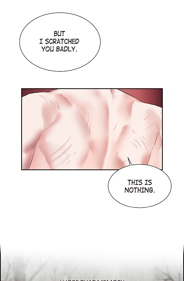 Read To Catch a Falling Star chapter 45.6 image 64 on Lezhin