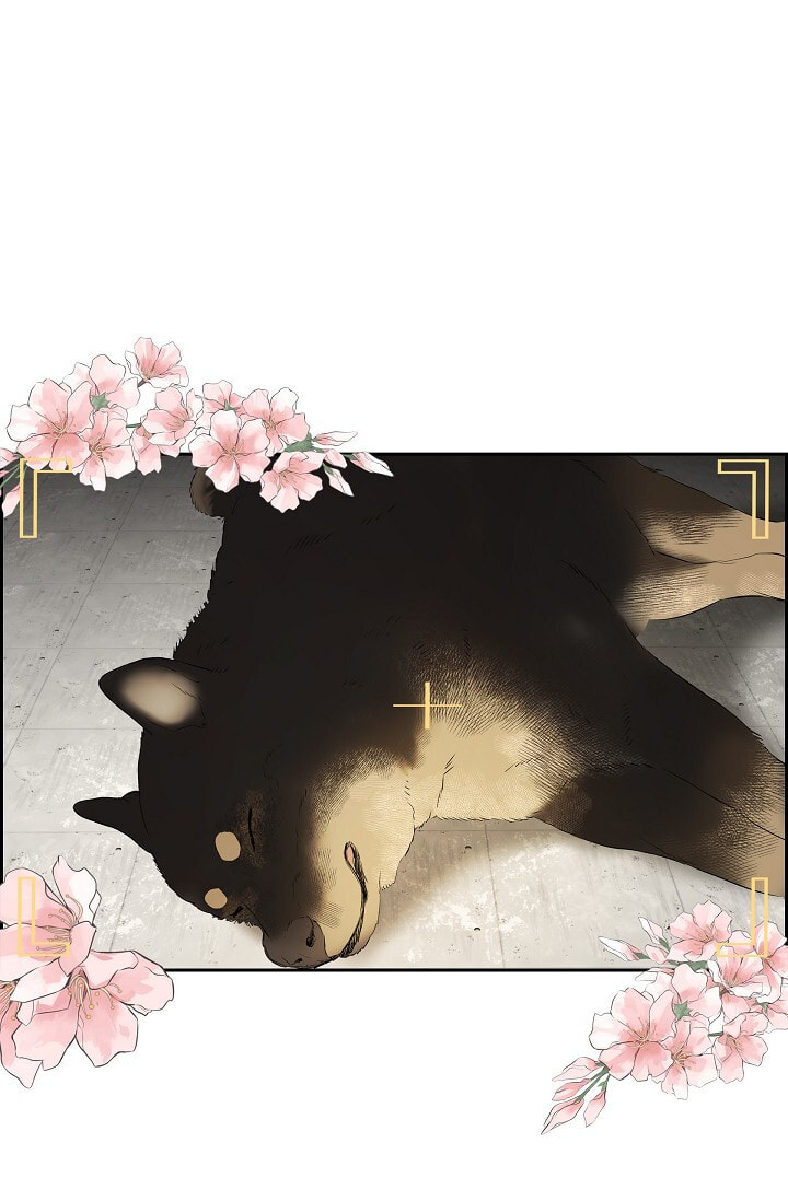 Read To Catch a Falling Star chapter 45.6 image 7 on Lezhin