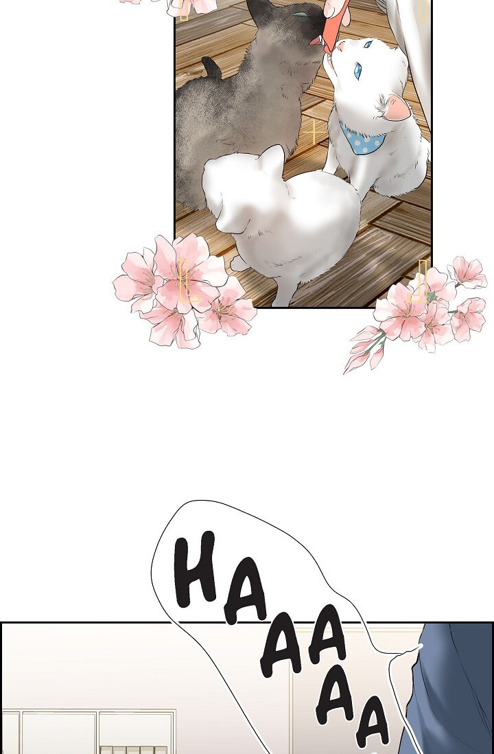 Read To Catch a Falling Star chapter 45.6 image 9 on Lezhin