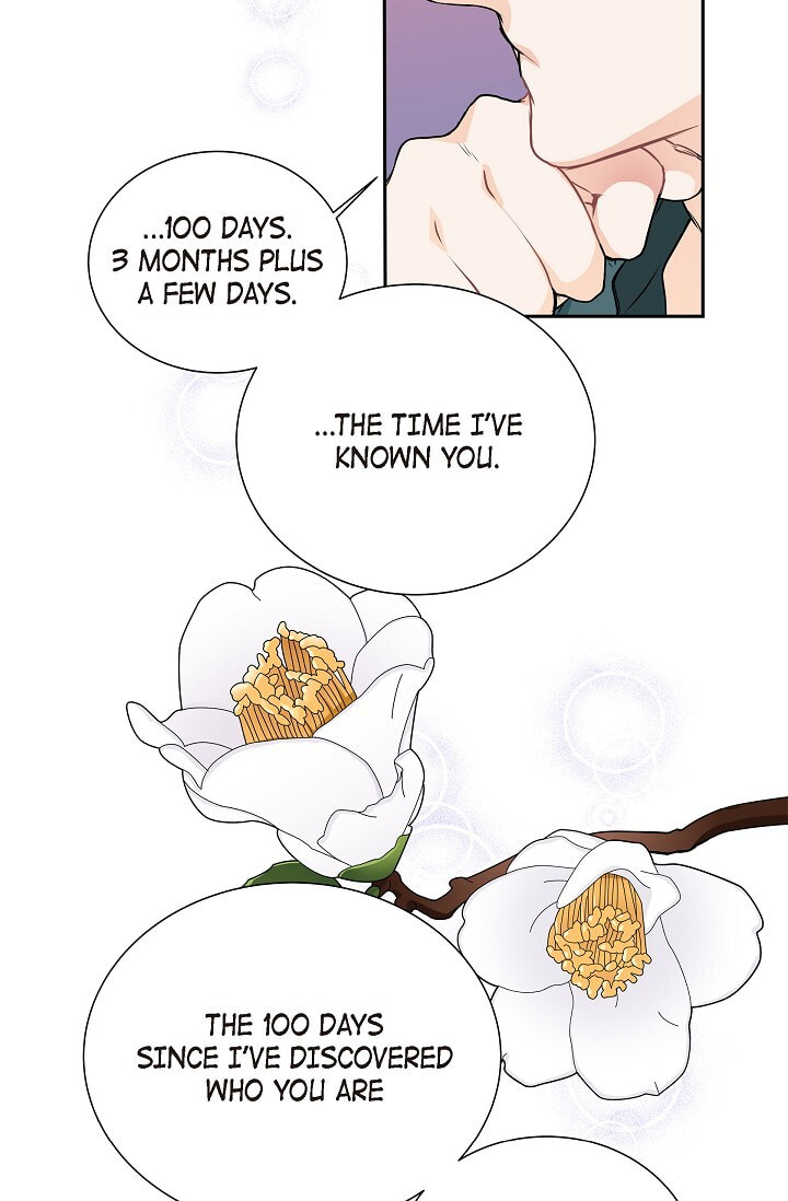 Read To Catch a Falling Star chapter 45 image 50 on Lezhin