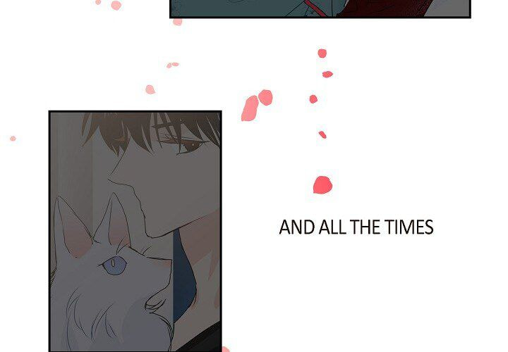 Read To Catch a Falling Star chapter 46 image 3 on Lezhin