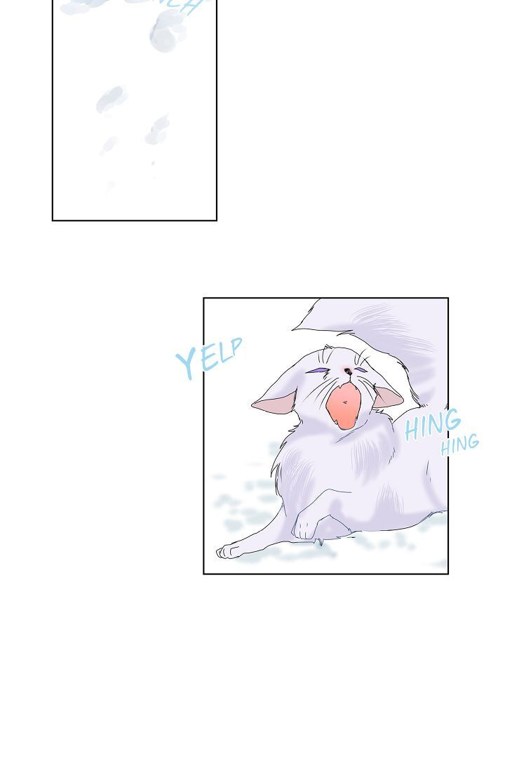 Read To Catch a Falling Star chapter 5 image 15 on Lezhin