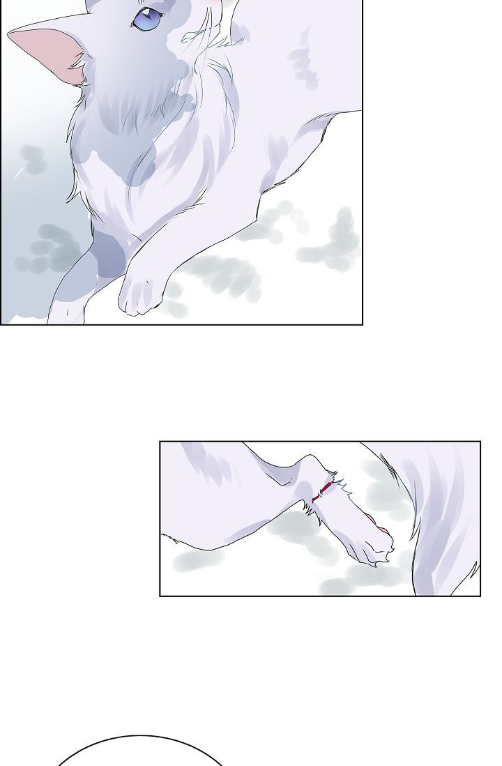 Read To Catch a Falling Star chapter 5 image 17 on Lezhin