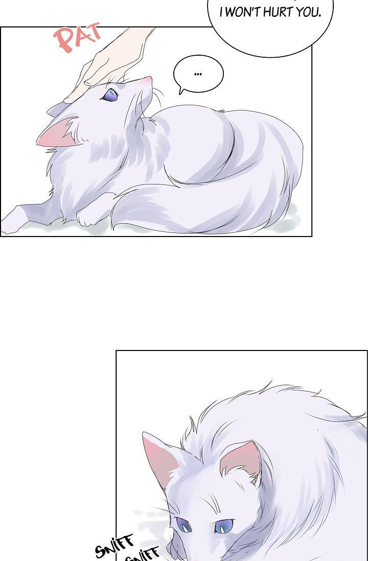 Read To Catch a Falling Star chapter 5 image 20 on Lezhin