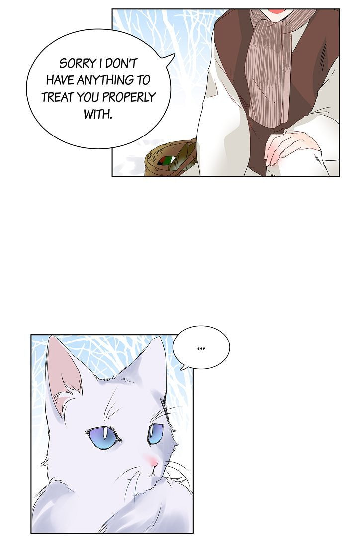Read To Catch a Falling Star chapter 5 image 22 on Lezhin