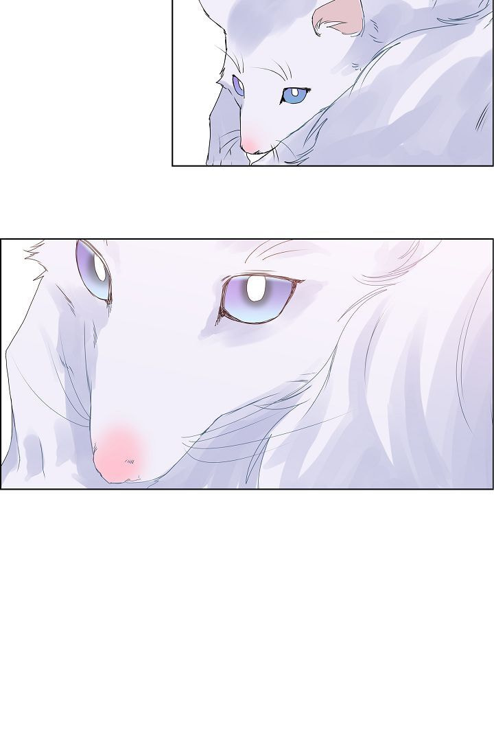 Read To Catch a Falling Star chapter 5 image 25 on Lezhin