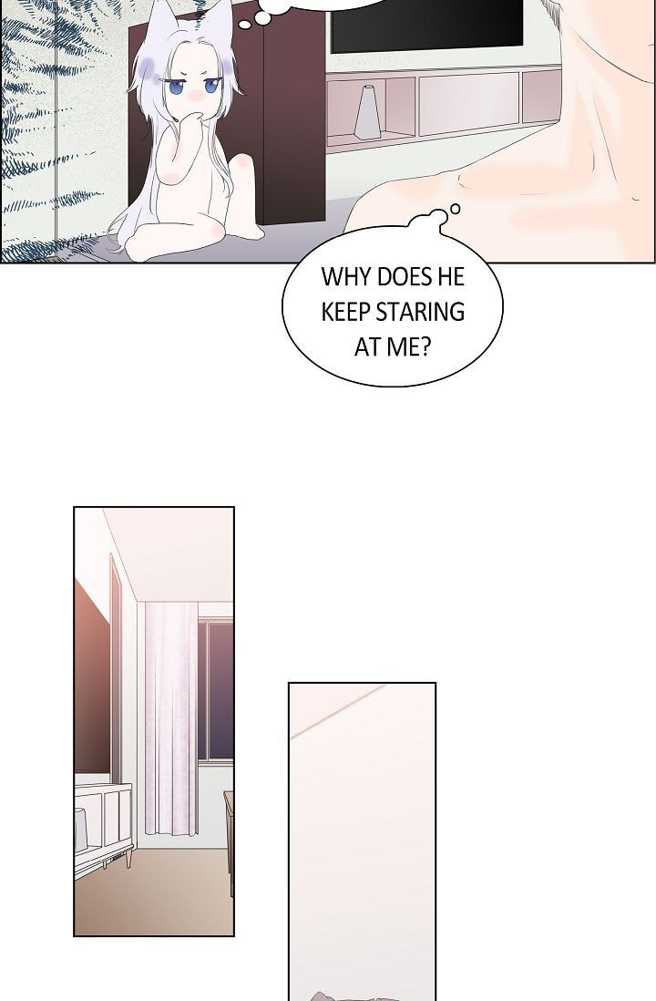 Read To Catch a Falling Star chapter 6 image 21 on Lezhin