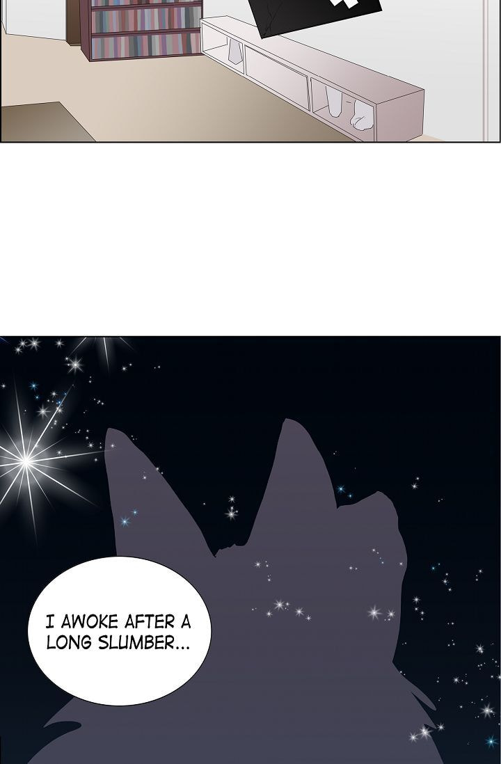 Read To Catch a Falling Star chapter 6 image 28 on Lezhin