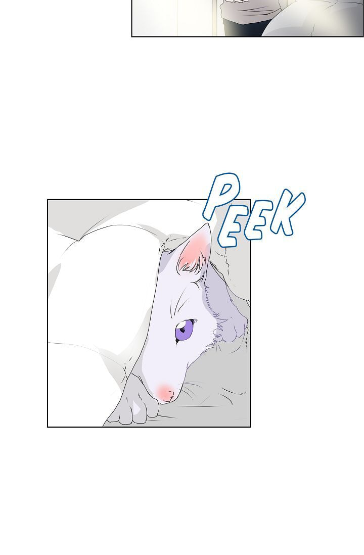 Read To Catch a Falling Star chapter 7 image 16 on Lezhin