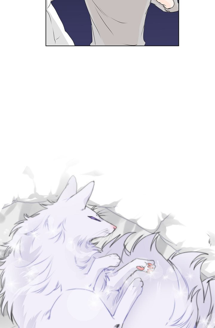 Read To Catch a Falling Star chapter 7 image 6 on Lezhin