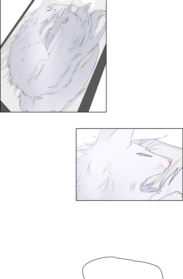 Read To Catch a Falling Star chapter 7 image 9 on Lezhin
