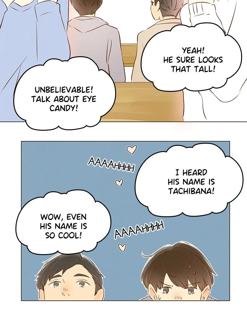 To-Do List Chapter 4 page 39 - 