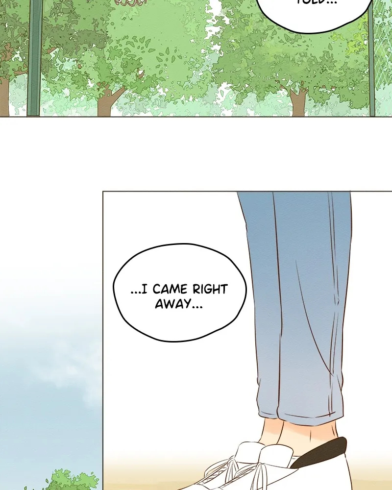 To-Do List Chapter 7 page 43 - 