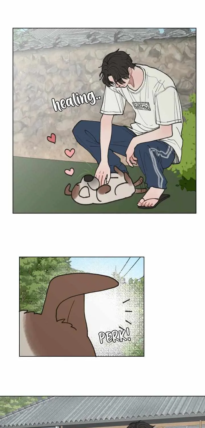 Read To Mend A Heart chapter 14 image 24 on Lezhin