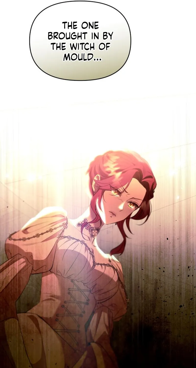 Read To the Flawless Duke chapter 2 image 152 on Lezhin