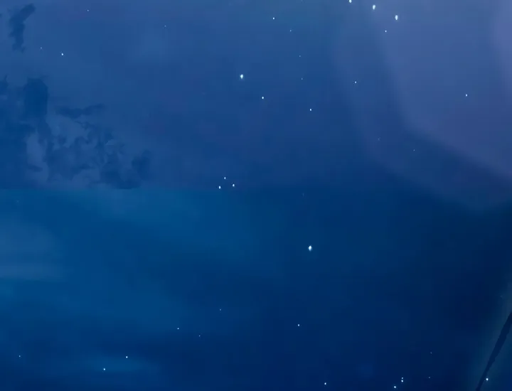 Read To the One Without Virtue chapter 29 image 33 on Lezhin