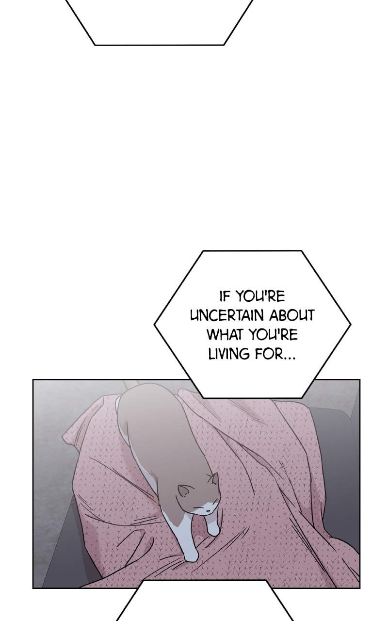 To the Stars I Love Chapter 100 page 170 - 