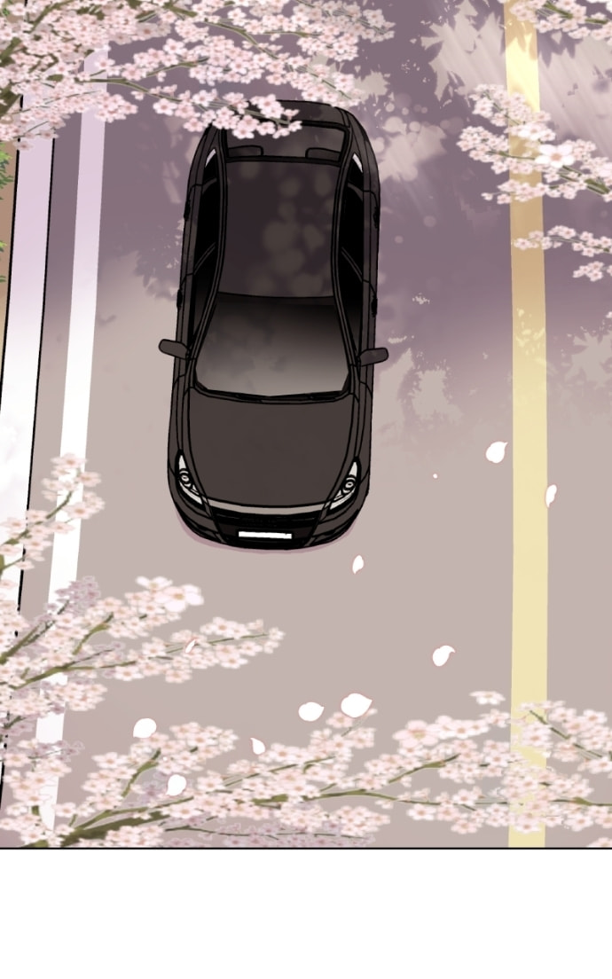 To the Stars I Love Chapter 99 page 81 - 