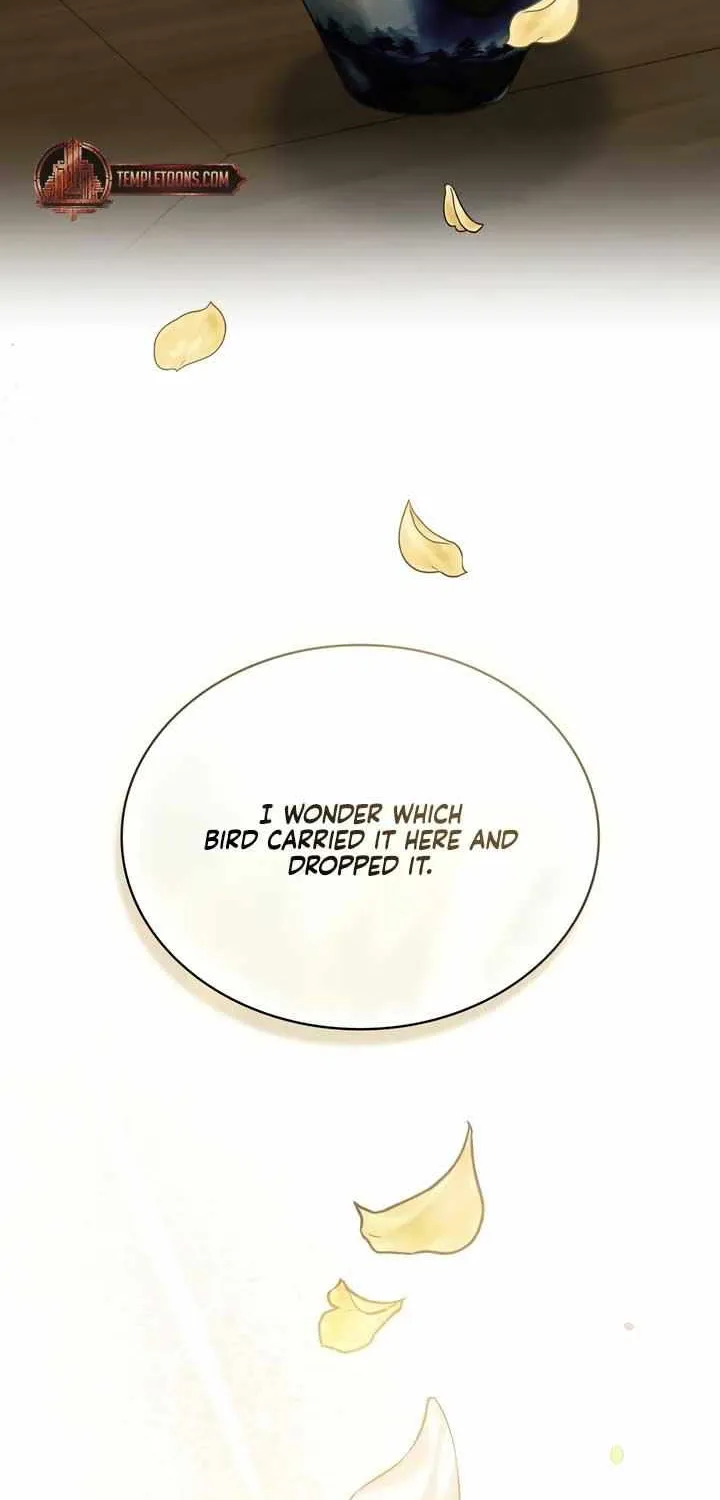 Read To Tread into Darkness chapter 17 image 26 on Lezhin
