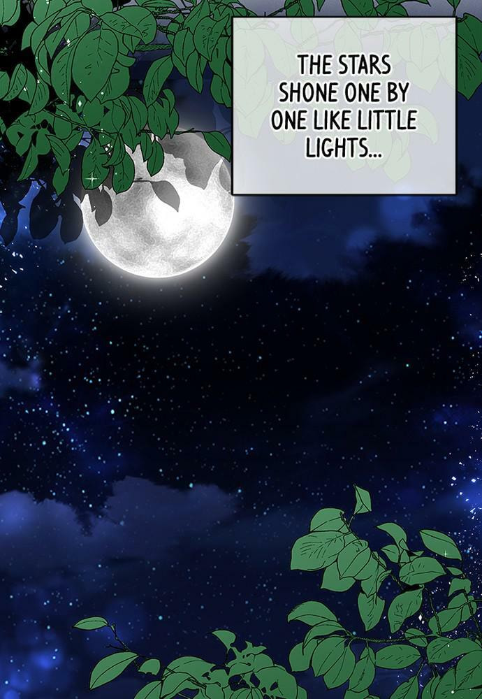 To You Who Swallowed a Star Chapter 83 page 61 - 