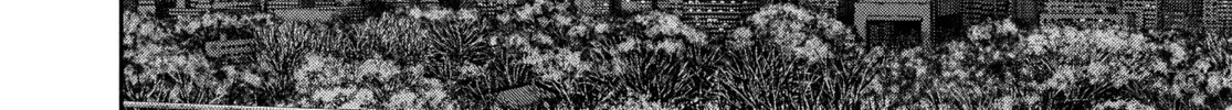 Read Tokyo Ghoul chapter 53 image 31 on Lezhin