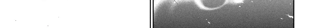 Read Tokyo Ghoul chapter 75 image 15 on Lezhin