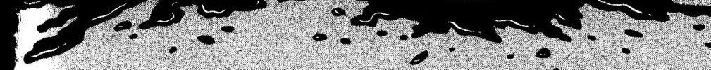 Read Tokyo Tribes chapter 1 image 81 on Lezhin