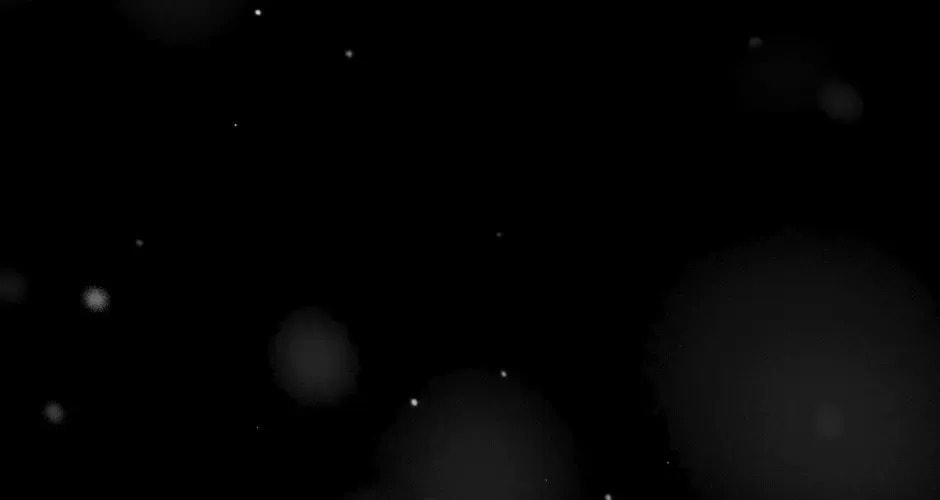 Read Tomahawk Angel chapter 1.1 image 35 on Lezhin