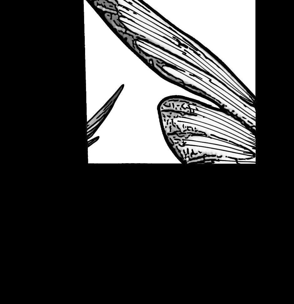 Read Tomahawk Angel chapter 130 image 23 on Lezhin