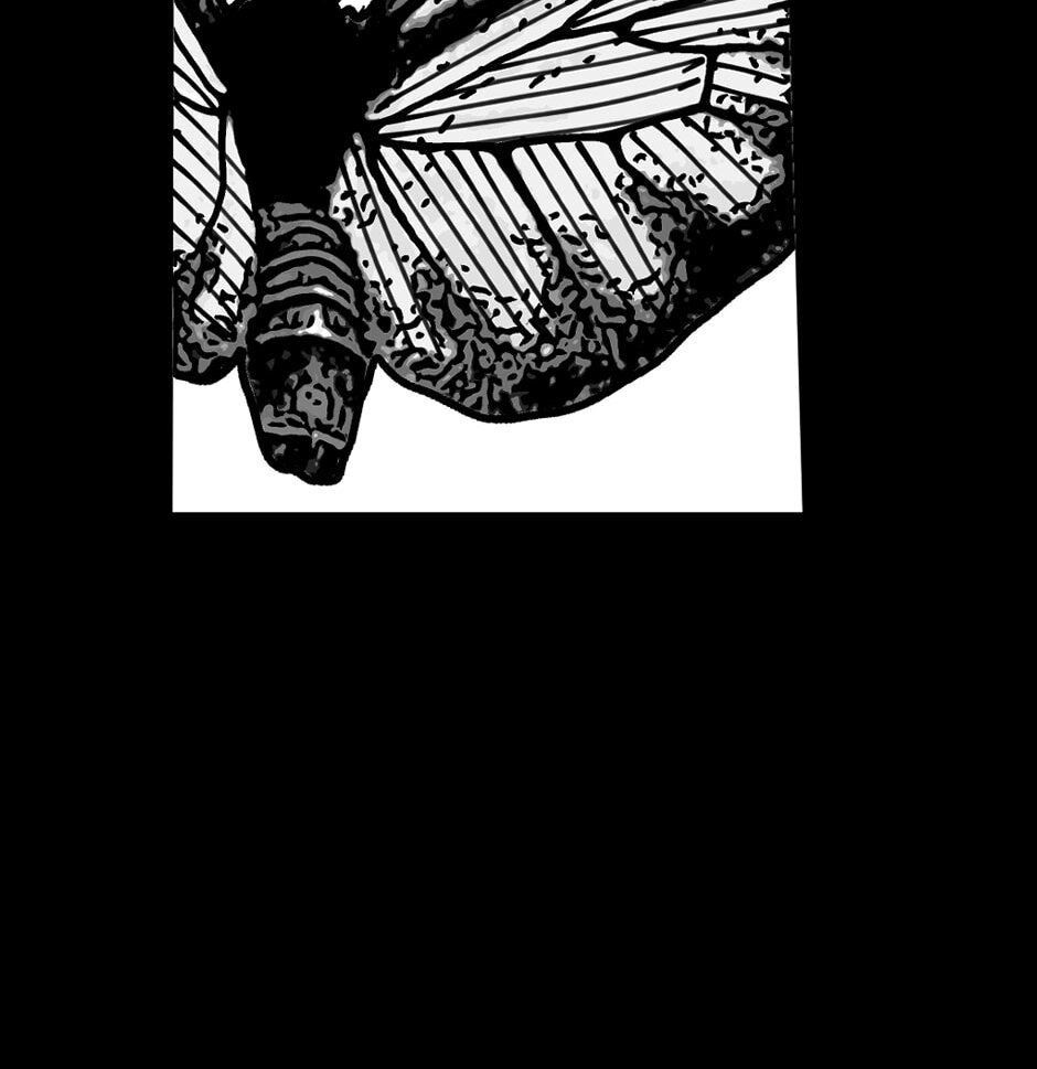 Read Tomahawk Angel chapter 130 image 27 on Lezhin
