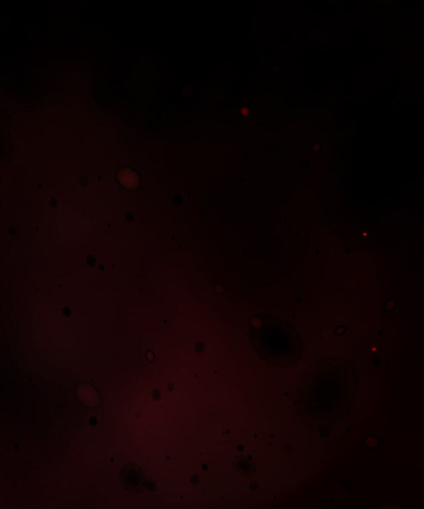 Read Tomahawk Angel chapter 17 image 115 on Lezhin