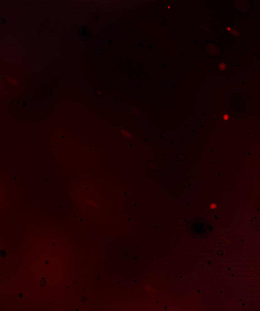 Read Tomahawk Angel chapter 17 image 116 on Lezhin
