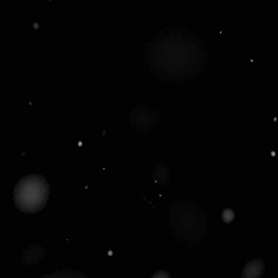 Read Tomahawk Angel chapter 2 image 40 on Lezhin