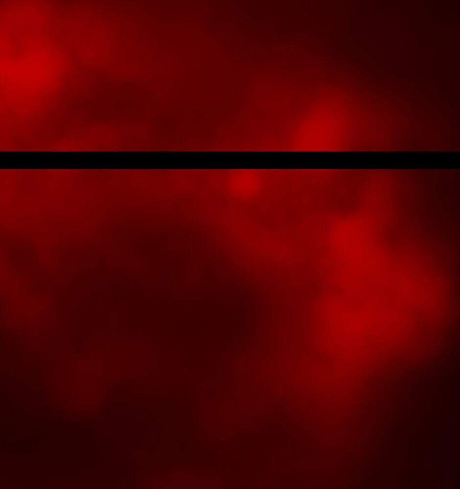 Read Tomahawk Angel chapter 27 image 58 on Lezhin