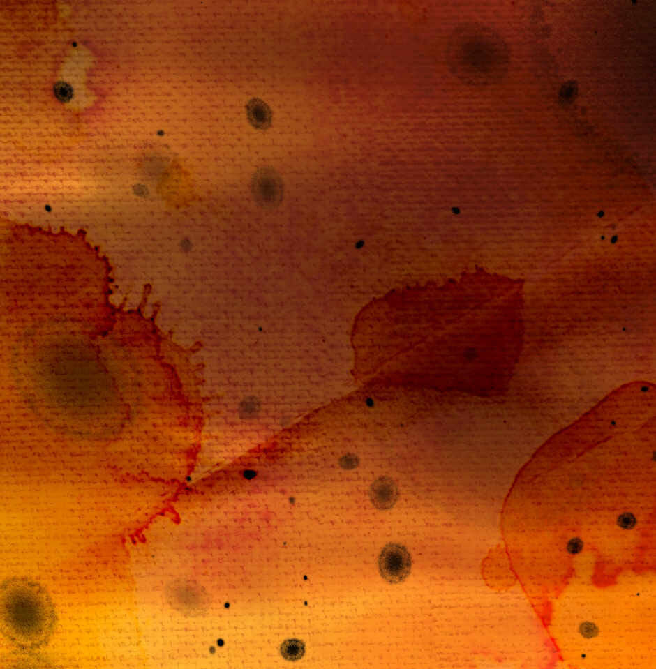 Read Tomahawk Angel chapter 4 image 8 on Lezhin