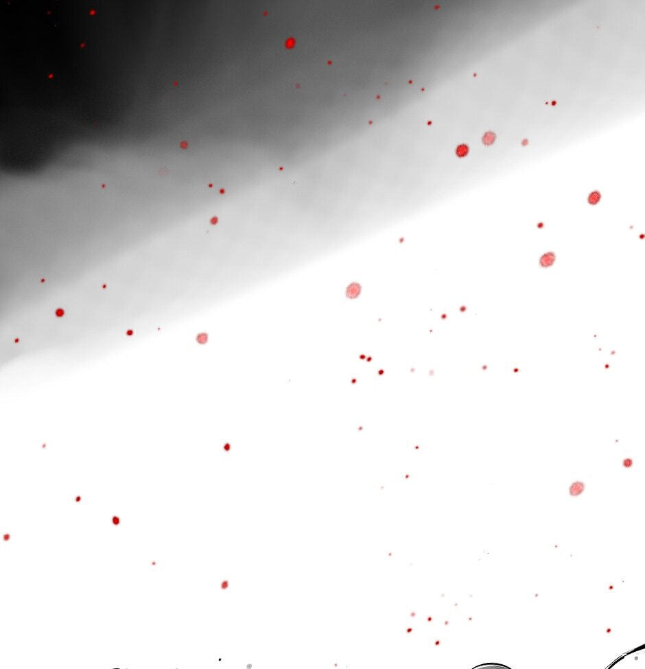 Read Tomahawk Angel chapter 44 image 24 on Lezhin