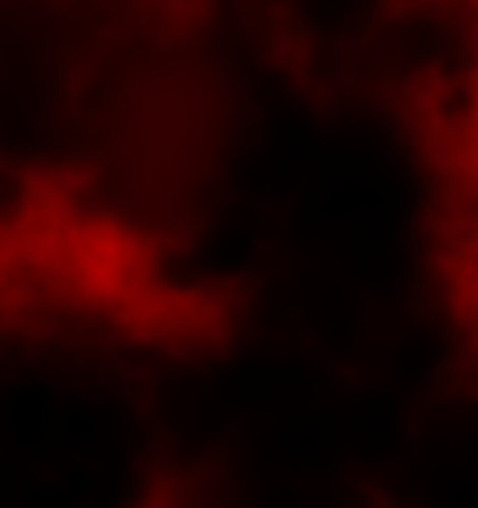 Read Tomahawk Angel chapter 49 image 2 on Lezhin