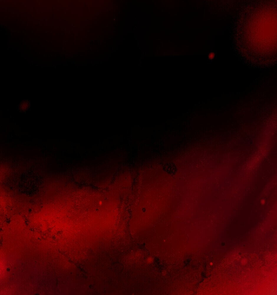 Read Tomahawk Angel chapter 56 image 29 on Lezhin