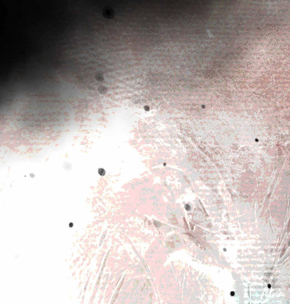 Read Tomahawk Angel chapter 8 image 93 on Lezhin