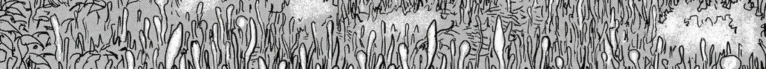 Read Tomie: Control chapter 0 image 7 on Lezhin