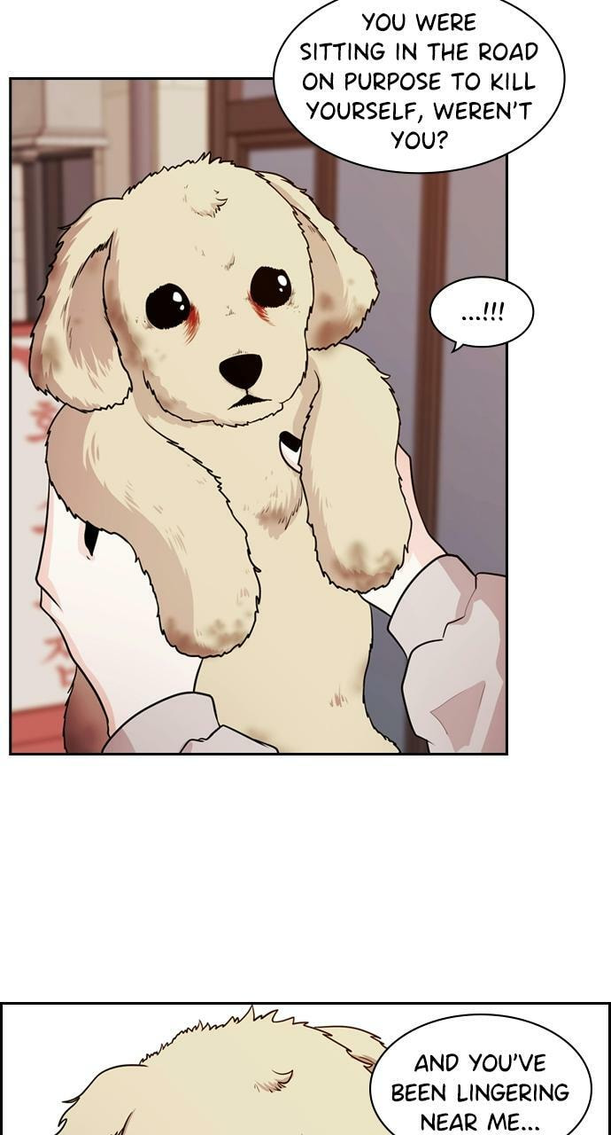 Read Tomorrow (Llama) chapter 87 image 55 on Lezhin