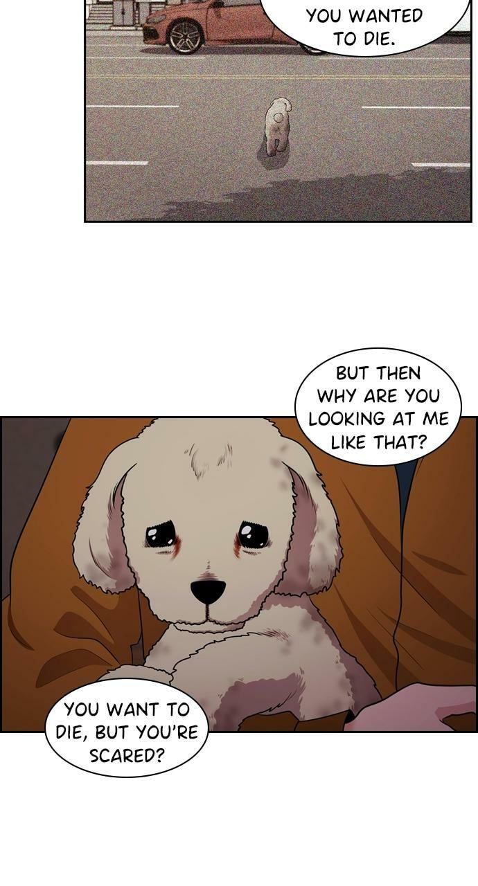 Read Tomorrow (Llama) chapter 88 image 49 on Lezhin